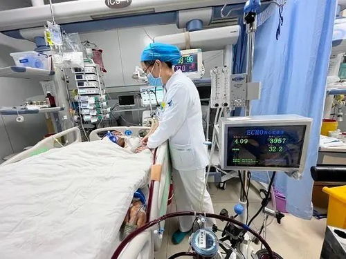 全球首創與全國首個 盤點這些'高新造'計算機技術開發成果